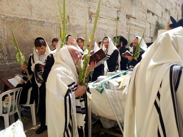 上图:正统犹太人于住棚节(Sukkot)在哭墙手拿棕树枝游行。