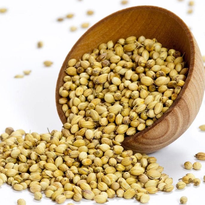 上图:芫荽子(coriander seed),埃及、西乃、约旦河谷均有生长,果实圆形,被晒干用作调味香料。吗哪的形状和芫荽子相似,但颜色是白的。