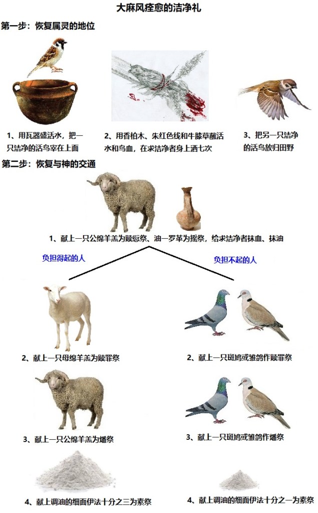 上图:大麻风痊愈的洁净礼分两步。第一步完全是祭司的工作,让求洁净者可以回到营中,恢复属灵的地位;第二步是求洁净者主动的献祭,恢复与神的交通,可以进到会幕亲近神。