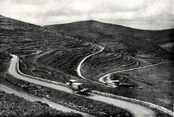 上图:1913年,从示剑到耶路撒冷的主要道路,一路都很荒凉。1857年英国领事James Finn写道:「这个国家几乎没有居民,因此最大的需要是人口。」