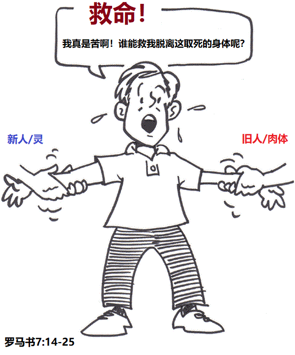 上图:即使是重生得救的信徒,里面也有新人和旧人的二律争战(罗七14-25)。我们靠着自己无法得胜,唯有靠着我们的主耶稣基督才能脱离。
