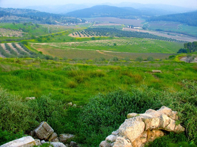 上图:从Latrun废墟俯瞰亚雅仑谷(Ayalon or Aijalon Valley)。